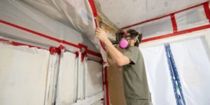 mold remediation