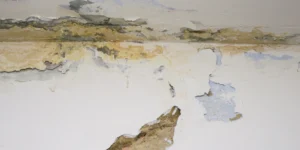 water intrusion investigation