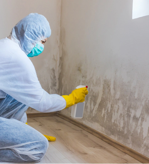 worker removes mold from wall