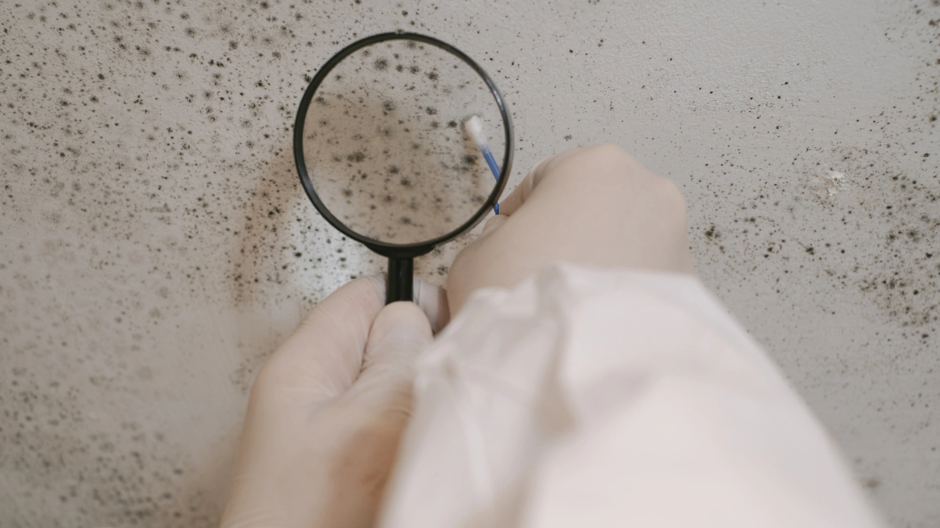 hero mold inspection work