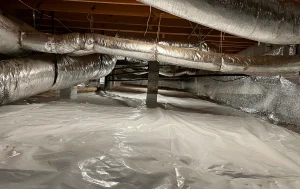 7 Hidden Water Damage Signs You Can't Afford to Ignore